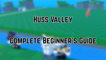 Huss Valley Beginner's Guide