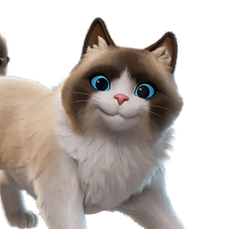 Fancy Ragdoll