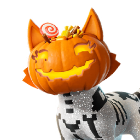 Jack-O’-Cat