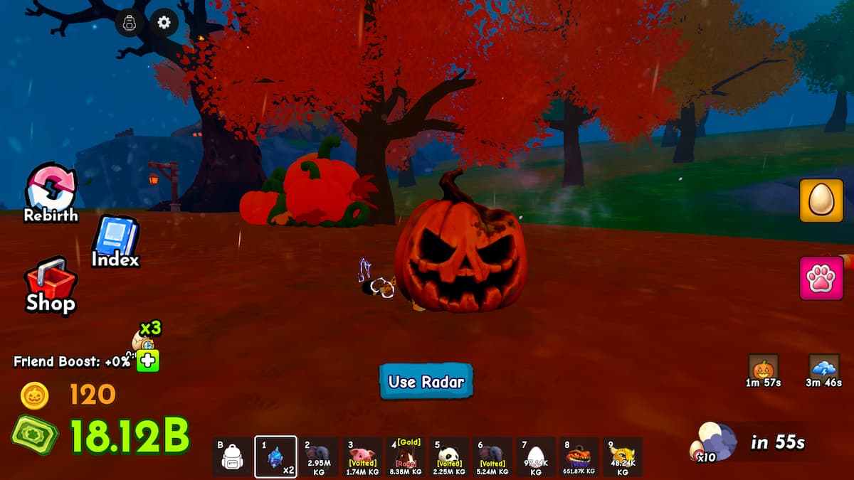 image showing spoiled pumpkin in Ride a Pet