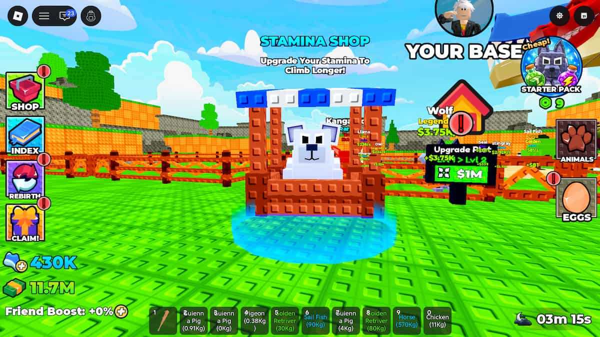 image showing the Stamina Shop in Climb for Animals Eggs
