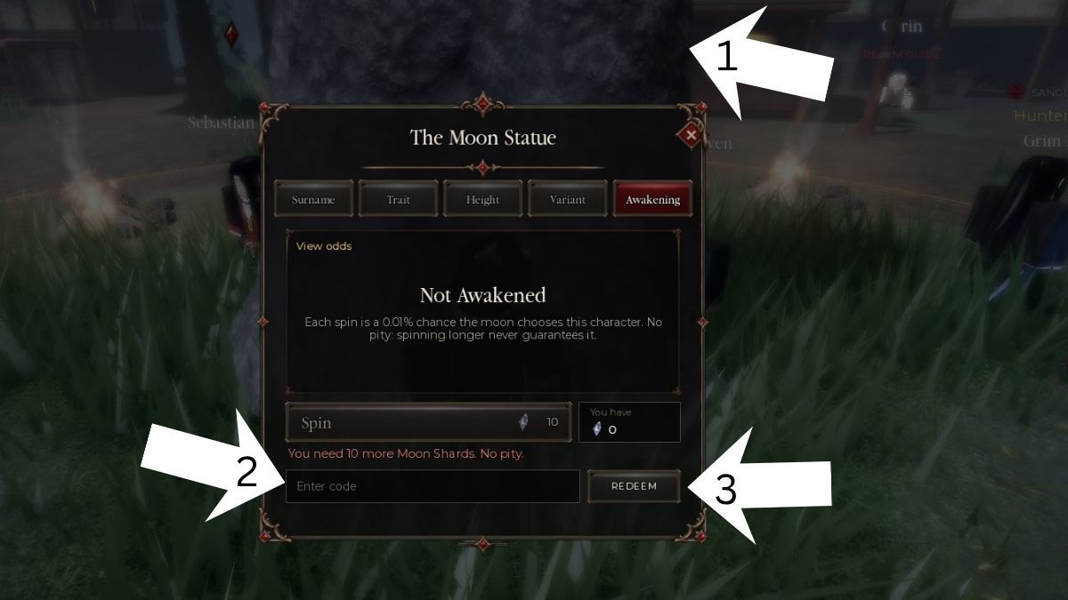 Code Redemption system for Supernatural Realm
