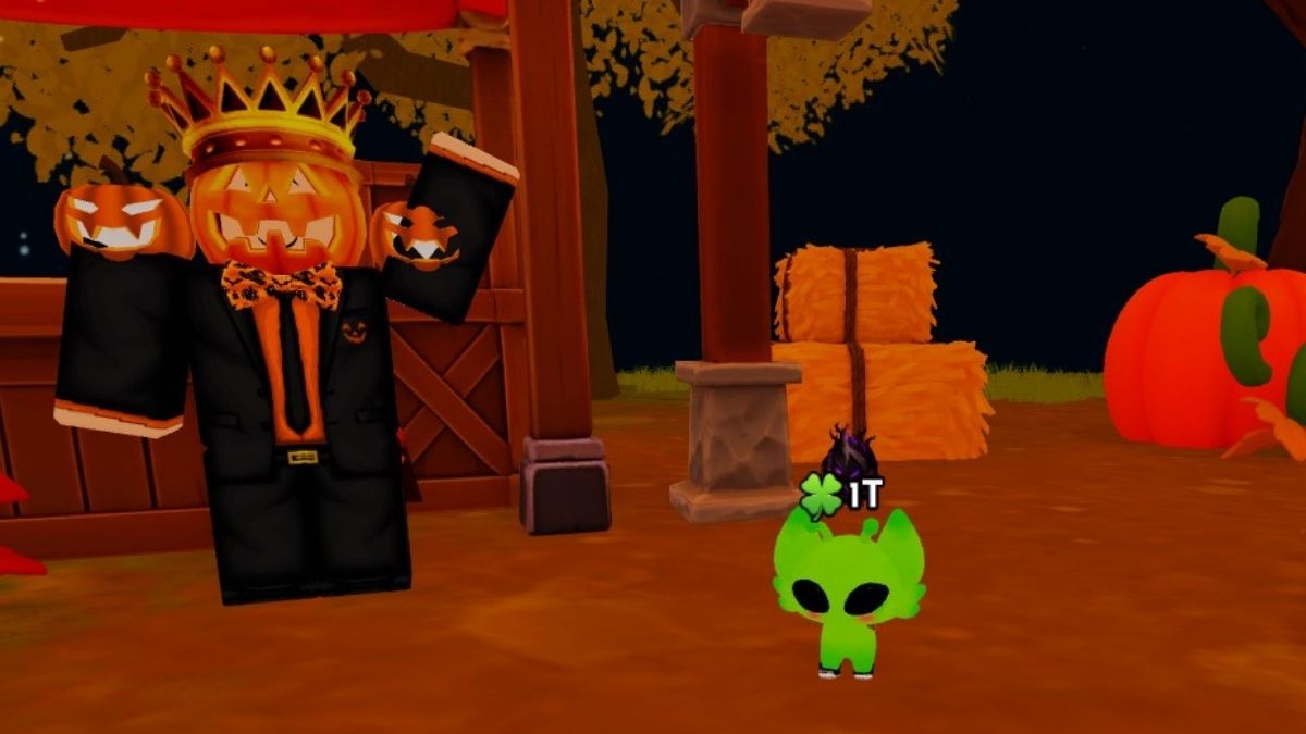 Shop NPC in ride a pet