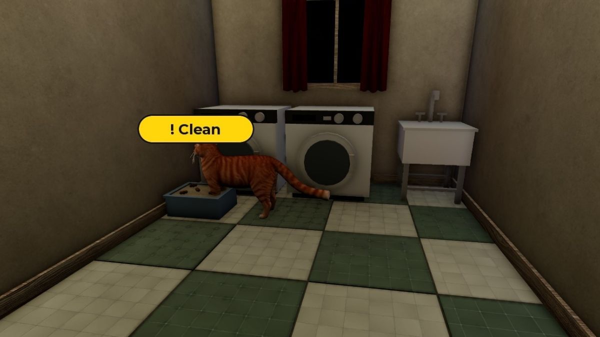 Littler box chore for 7 days Cat Sitting