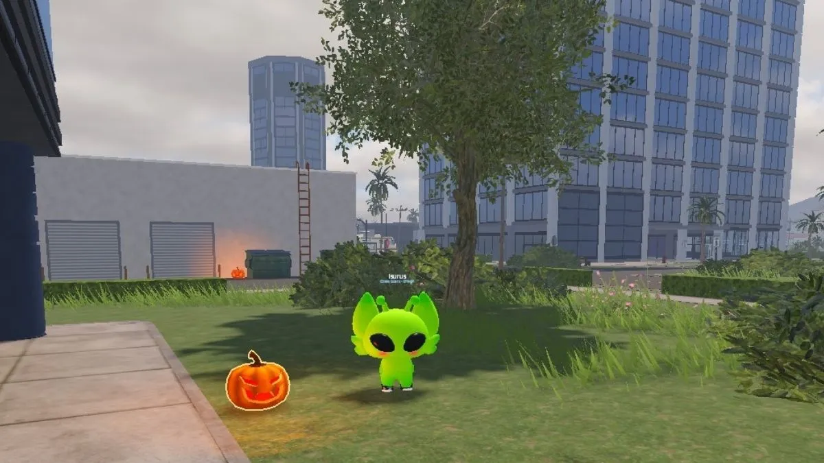 Outside pumpkin Location in  San Diego