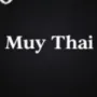 MUY THAI game image