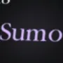 SUMO game image